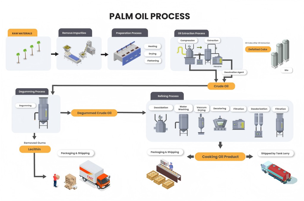 Palm Oil Process