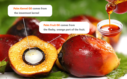 Palm Oil Structure