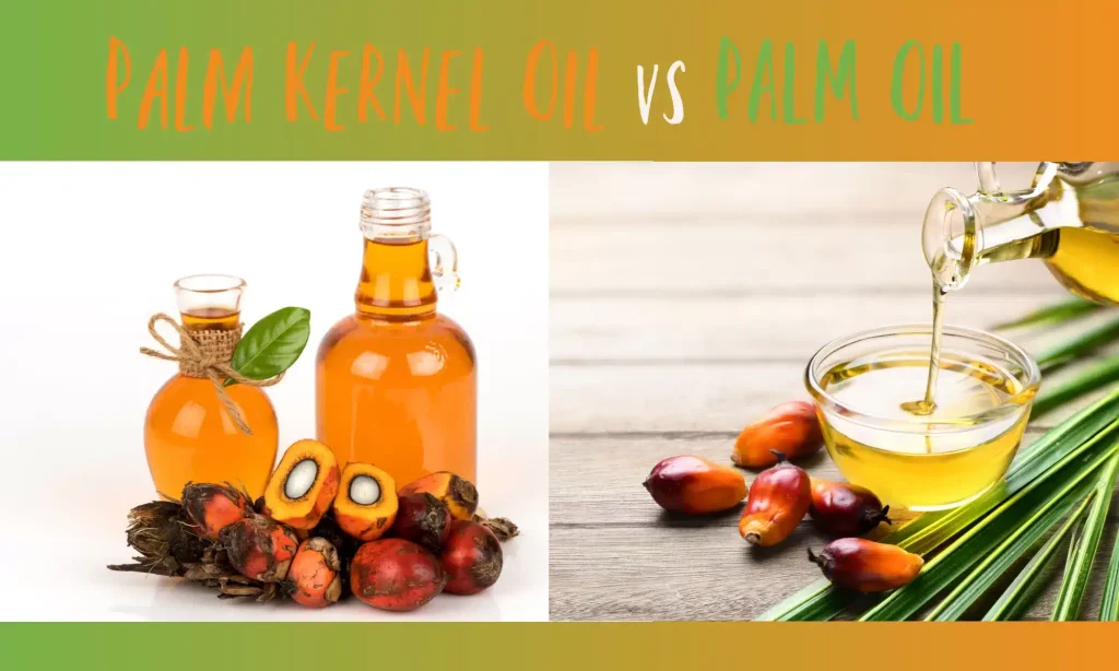 Palm Oil vs. Palm Kernel Oil