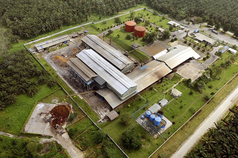 Palm oil factory, Indonesia