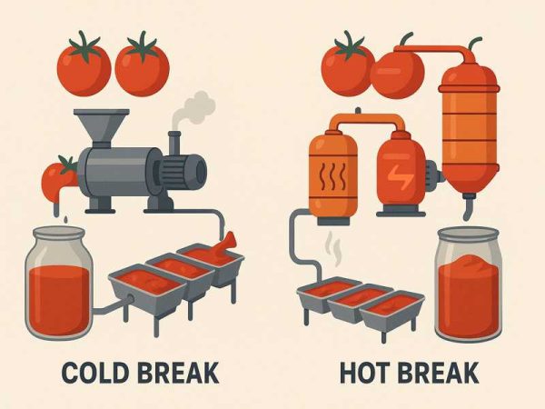 Cold Break and Hot Break Equipment for Tomato Paste: Which One to ...