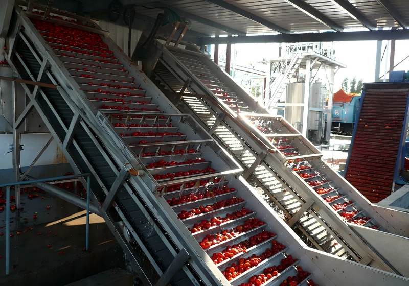 Fresh Fruit Receiving and Pre-treatment Section