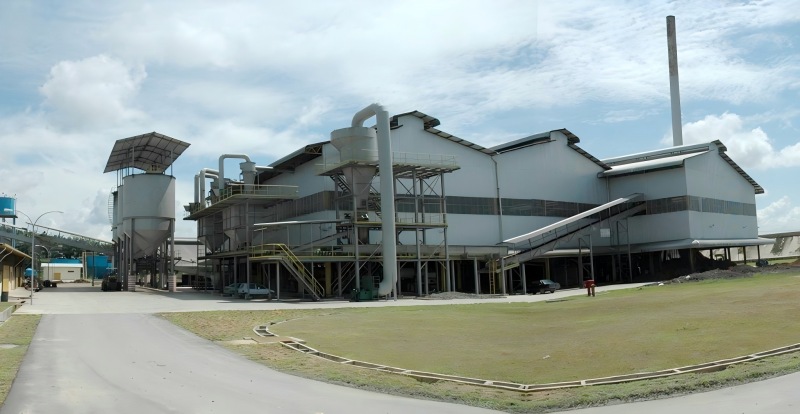 Key Location Factors to Consider for a Palm Oil Mill Plant