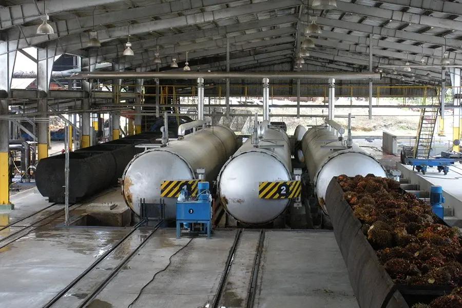 Sterilization Station of Palm Oil Equipemnt