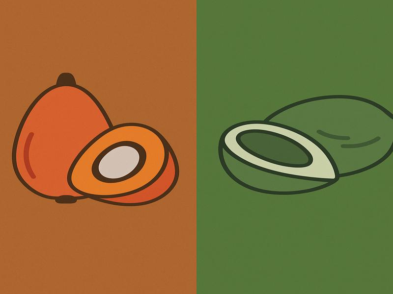 Palm Oil vs. Palm Kernel Oil business