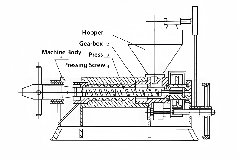 Structure of Single Palm Oil Screw Press Machine