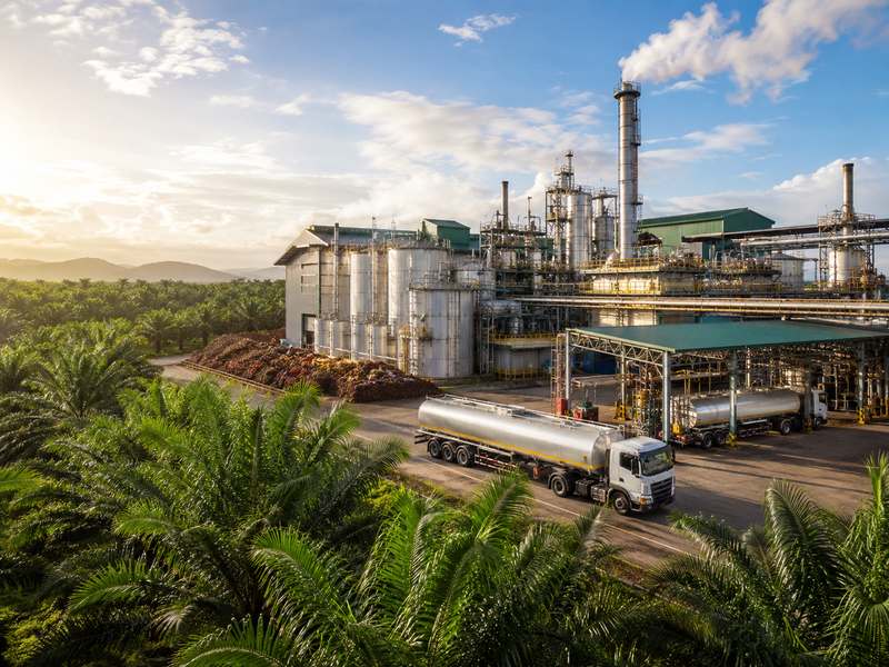 B50 Biodiesel Policy Drives Demand for Palm Oil Processing Equipment
