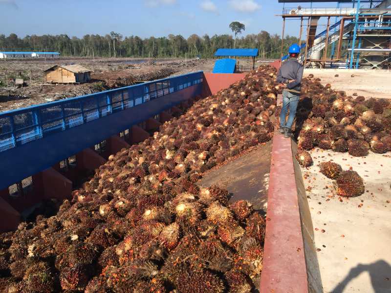 African Palm Oil Mill