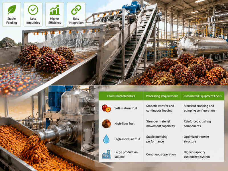 Impacts of Fresh Fruit Condition